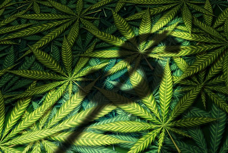 Does New York’s Cannabis Tax Idea Offer a Glimpse of the Future?