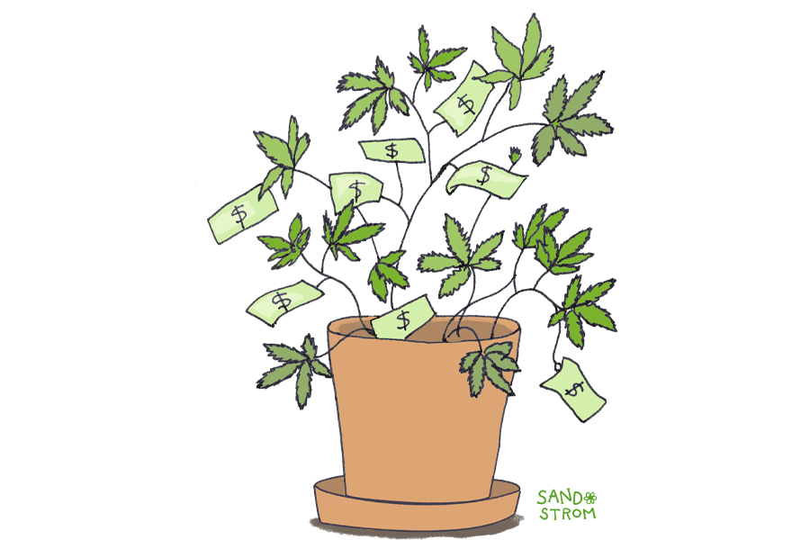 How Do States Tax Cannabis?