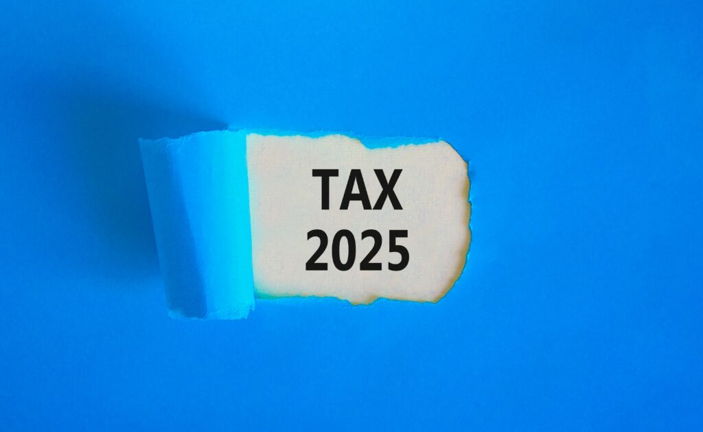 2025: The Year in Tax Policy