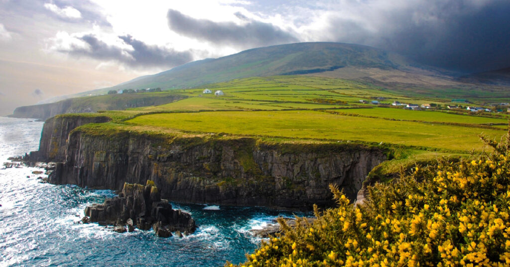 Tax Haven Data Demonstrate Need for Global Minimum Tax Despite Opposition from Trump Administration